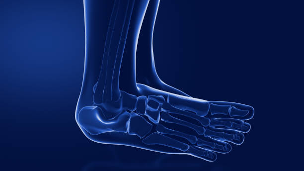 istock sprains and dislocations to the ankle 2065566308
