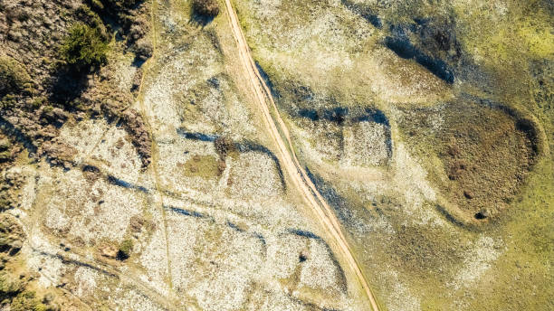 istock Sand path in the dunes near beach a winter day 2065568443
