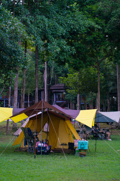 istock Camping tent on green grass in tropical forest 2065574290