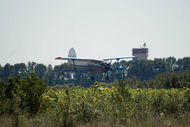 istock Antonov An-2 aircraft coming for a landing 2065591903