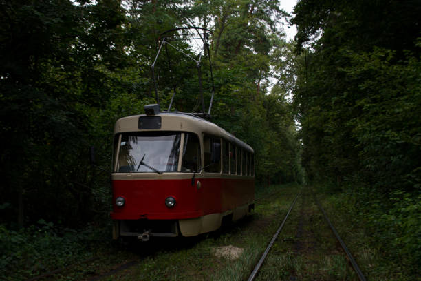 istock A tram on a line to Pushcha-Vodytsia 2065591908