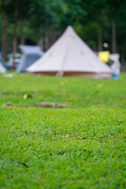Camping tent on green grass in tropical forest hiking travel in nature