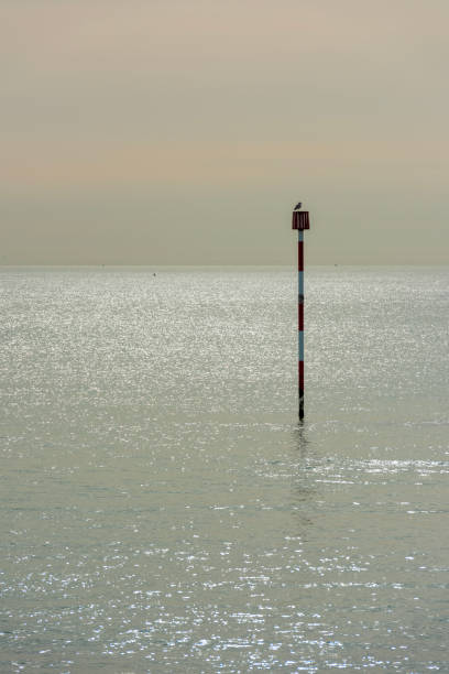 istock Seagull sitting on a pole off the coast near Ramsgate in Kent, England 2065608835