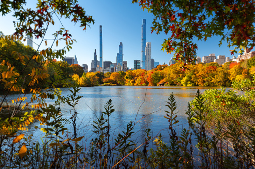 Central Park by the Lake. Billionaires' Row skyscrapers, Manhattan, New York City