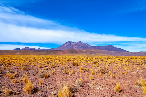 Cerro Miniques (Miniques hill) in the Altiplano (high Andean Plateau), Los Flamencos National Reserve, Atacama desert, Antofagasta Region, Chile, South America