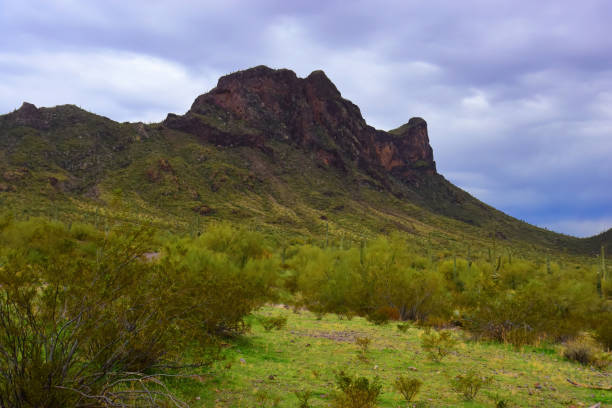 sonora desert arizona picacho peak state park - sonora state stock-fotos und bilder