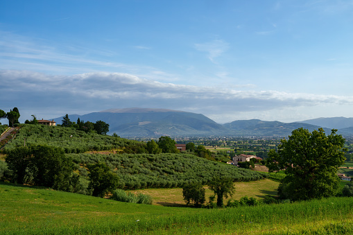 Rural landscape near Foligno and Montefalco, Perugia province, Umbria, Italy, at summer