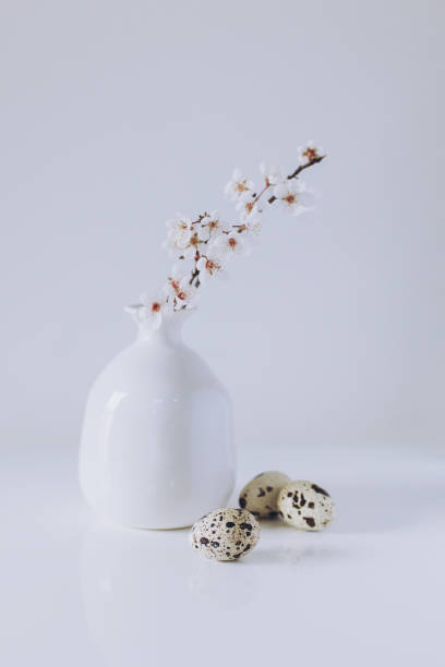 Beautiful blossom branches in a vase and eggs on a white background. Spring minimalistic concept. Place for text.