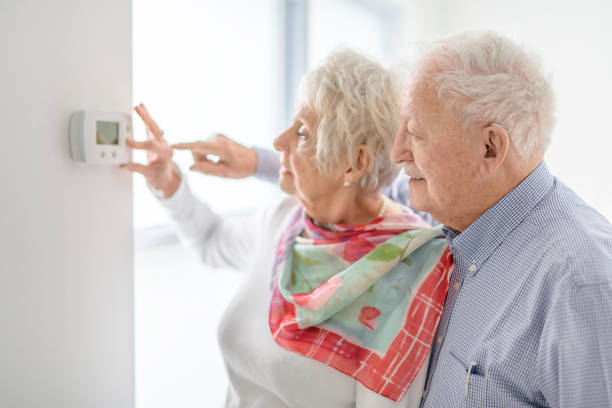 istock senior lady posing at home portrait close to a window using thermostat 2065674485