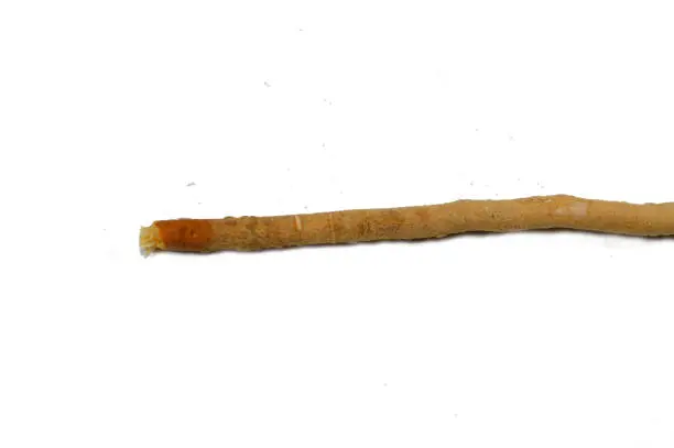 Traditional Miswak stick, The miswak is a teeth-cleaning twig made from the Salvadora persica tree, used effectively as a natural toothbrush for teeth cleaning, It's effective, inexpensive, common, selective focus