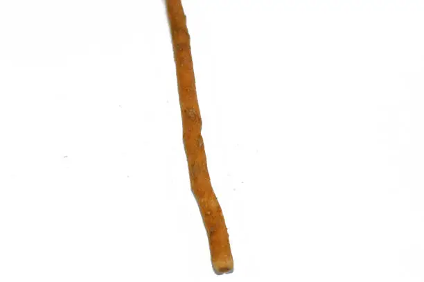 Traditional Miswak stick, The miswak is a teeth-cleaning twig made from the Salvadora persica tree, used effectively as a natural toothbrush for teeth cleaning, It's effective, inexpensive, common, selective focus