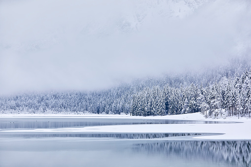 Landscape of frozen Longemer lake in the Vosges Mountain, France