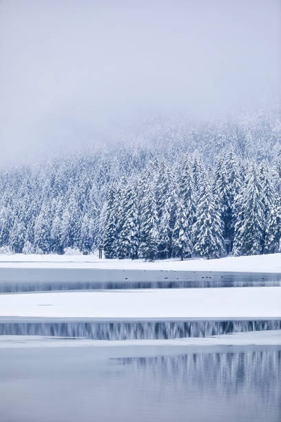 Lago Di Dobbiaco in winter with a perfect reflection, Dolomites, Italy everything is covered with snow and the mist is hanging above the lake.