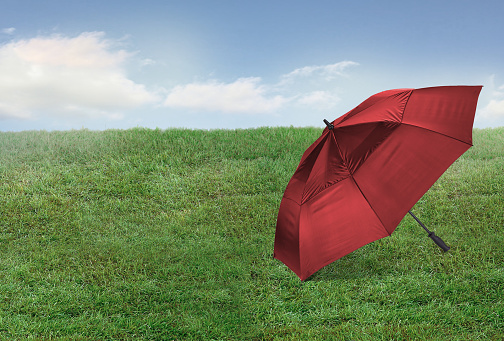 Violet umbrella isolated on white background. Clipping path included.