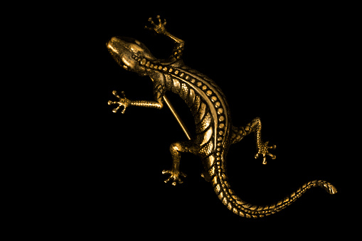 Old golden lizard brooch isolated on black background
