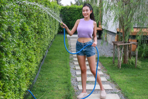 istock Active young woman watering hedge in garden with hose, summer gardening activities 2065737607