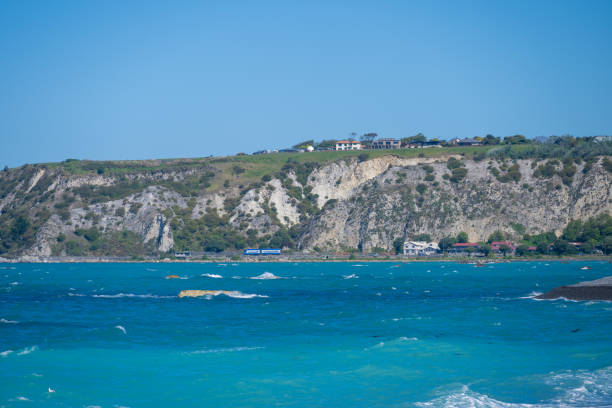 Discover the breathtaking coastline of Kaikoura, New Zealand, where stunning landscapes meet the majestic ocean, creating a captivating natural wonder.