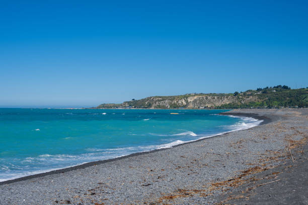 istock Kaikoura beach in New Zealand 2065743573