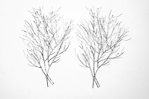 Metal Tree Bough Wall Decoration Over White Backgorund