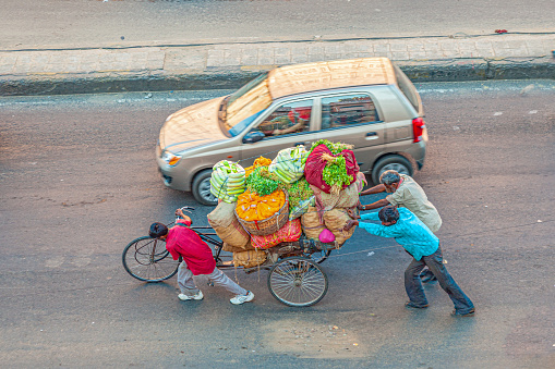 Jaipur, India - November 13, 2011: farmer carry their vegetables in a rickshaw and pull the cart along the main street with the whole family.