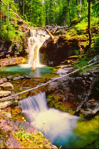 One of many unnamed waterfalls near the Cut Bank Trail and Nyack Trail Junction, Glacier National Park in 1986