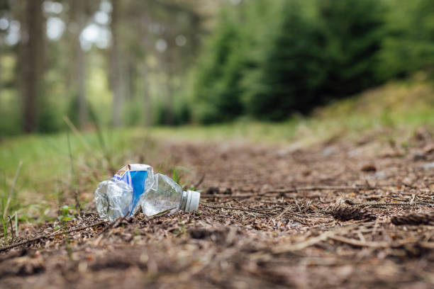 Low angle wide view of a woodland trail footpath in the countryside of Northumberland, North East England. On the surface of the woodland path is a used thrown away plastic water bottle that has been littered.