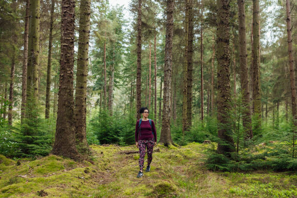 istock Solo Hiker on an Adventure 2065805395