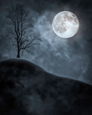 Full Moon, Tree Silhouette, Spooky Bleak Night - Atmospheric Mood - copy space - Elements of this image are furnished by NASA.