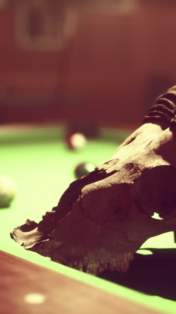 An animal skull is on a pool table