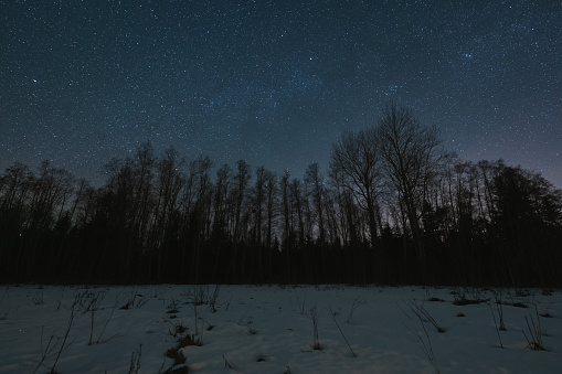 Landscape astrophoto, winter forest against the background of the starry sky. High quality photo