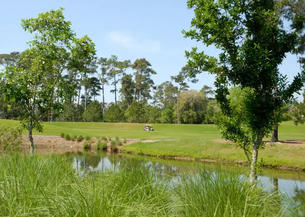 Scenic view of golf course with golfer on cart Florida, USA.