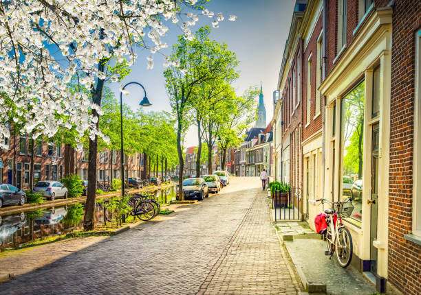 street with calm canal in Delft old town in Holland with spring flowers, Netherlands