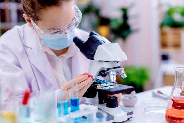 istock Scientist and people in science exam, test or group project in experiment or assignment at laboratory. Scientist or pharmacist work in scientific lab. Medical Development Laboratory. 2065844372