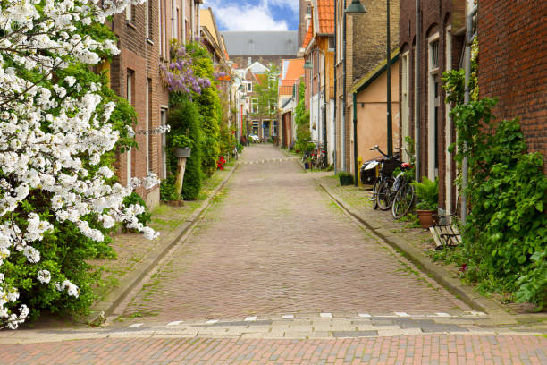 old town, delft, holland - delft europe spring old town 뉴스 사진 이미지