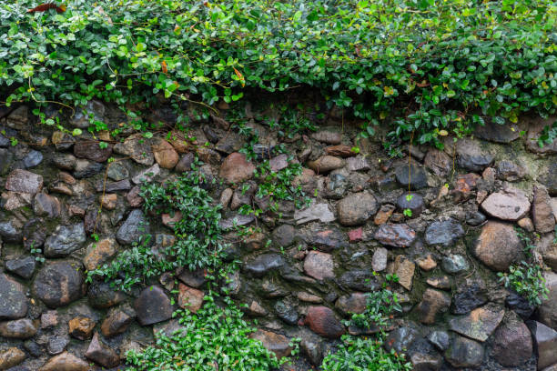 Background of old vintage brick wall