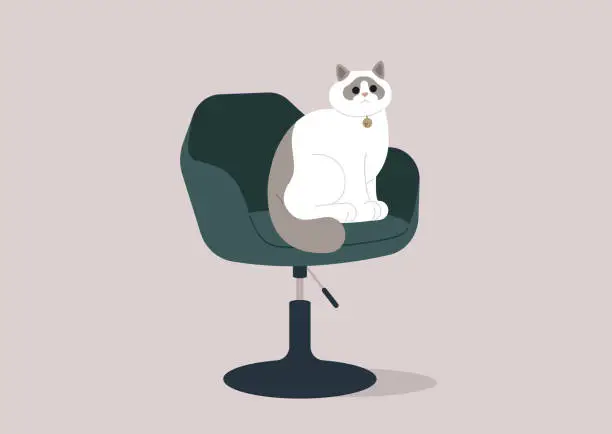 Vector illustration of A poised ragdoll cat sits elegantly atop a modern office chair