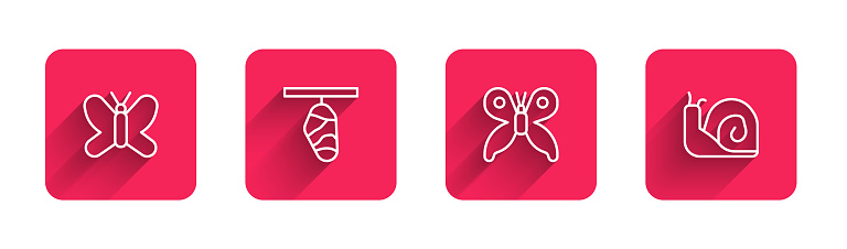 Set line Butterfly, cocoon, and Snail with long shadow. Red square button. Vector.