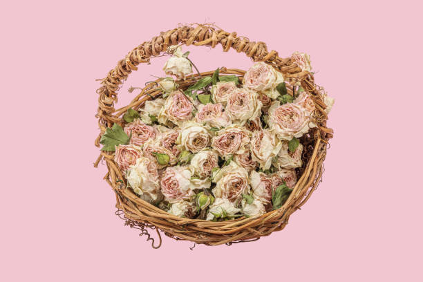 Dried roses bouquet