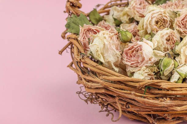 Romantic presentation of Turkish coffee with rose buds