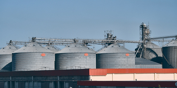 Grain elevator silos. Agricultural grain storage. Granaries at industrial area
