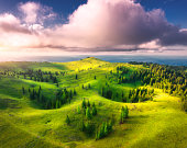 Aerial view of green alpine meadows on the hills at sunset in summer. Top view of mountain valley with trees, green grass and blue sky with clouds. Spring. Velika Planina, Slovenia. Colorful landscape