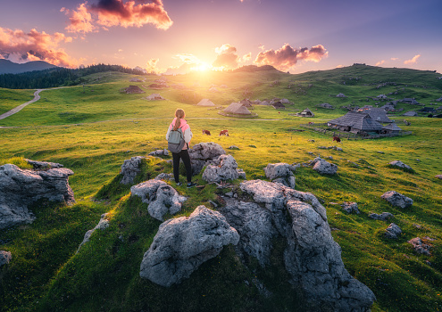 Girl with packpack on the stone, cows on green meadows in beautiful old alpine village in mountains at sunset in summer. Landscape with young woman, houses, trees, purple sky. Hiking in Slovenia