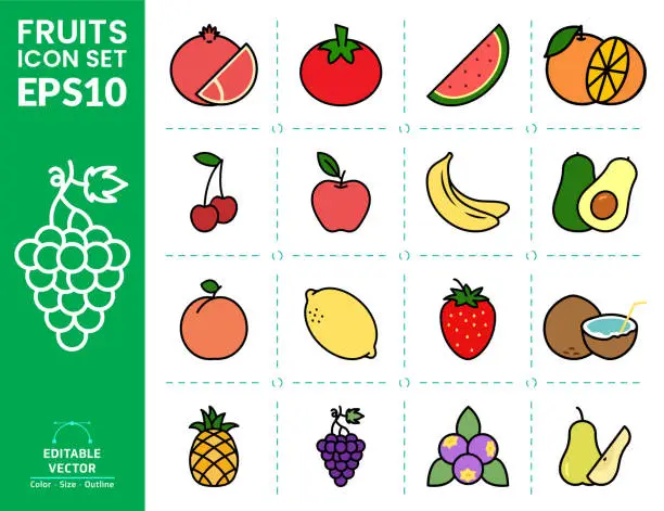 Vector illustration of Set of icons and illustration of fruits.