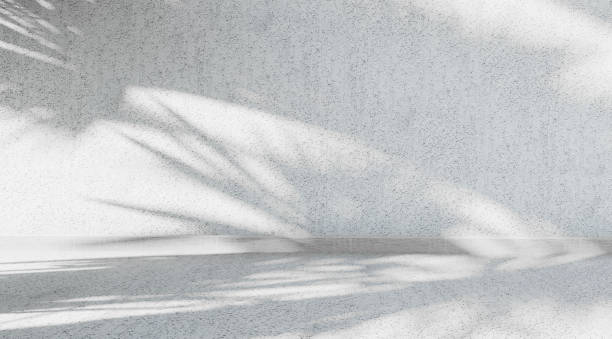 istock Blurred shadow of a palm tree cast on a structural wall. Abstract background in minimalist style for product presentation 2066008616