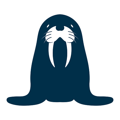 Simple Minimalist Cute Walrus Seal Cartoon Mascot Character Illustration Design