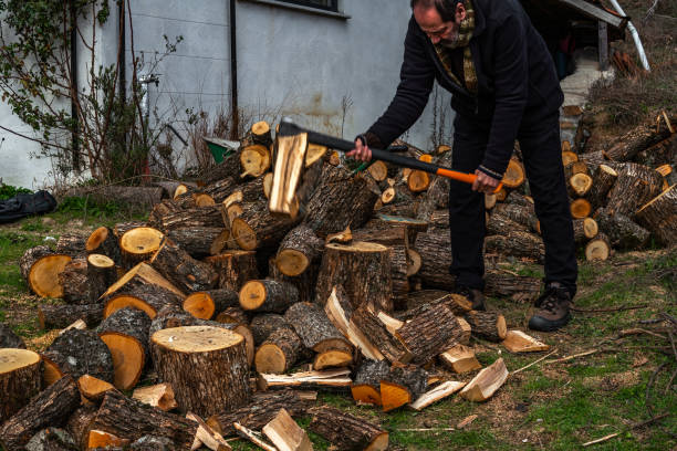 Simple Village Life: Man in Garden Splitting Logs with Axe