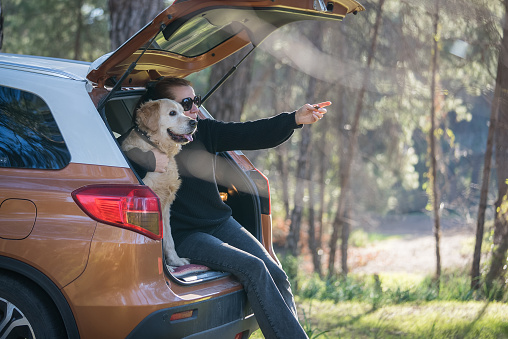 A golden retriever dog and her owner sitting in the trunk of the car, in nature.