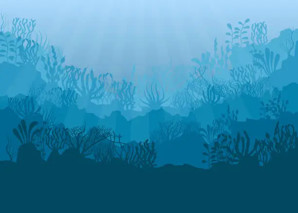 Vector illustration of Under the sea vector background