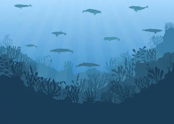 Vector illustration of Vector illustration of underwater ocean