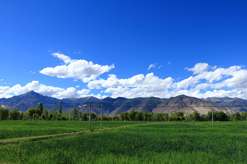 large grassy area, Tibet, highland, mountain